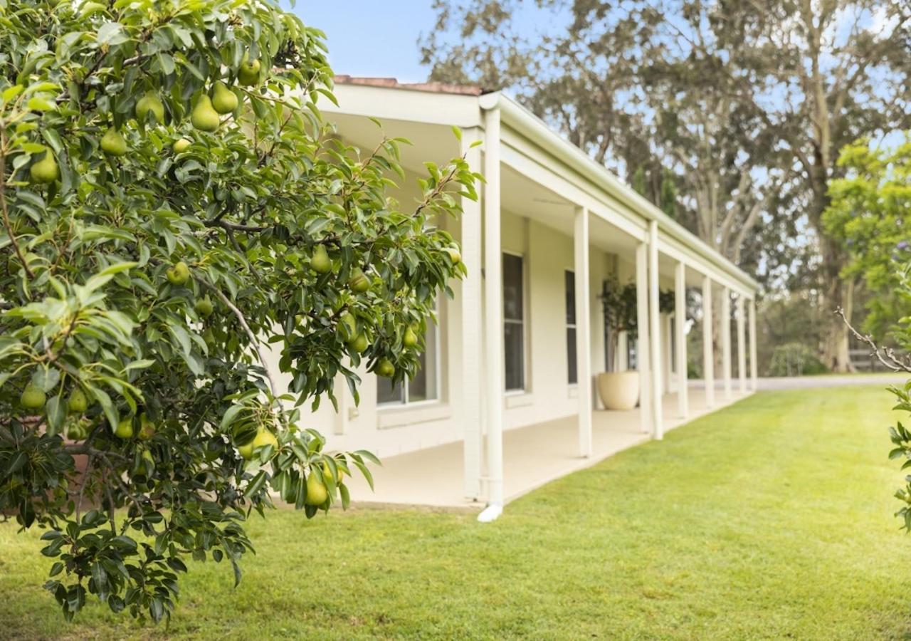 Hillcrest House - Gem In The Hunter! Villa Pokolbin Exterior photo